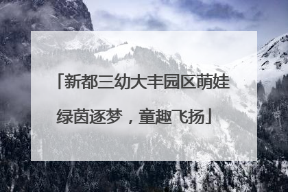 新都三幼大丰园区萌娃绿茵逐梦，童趣飞扬